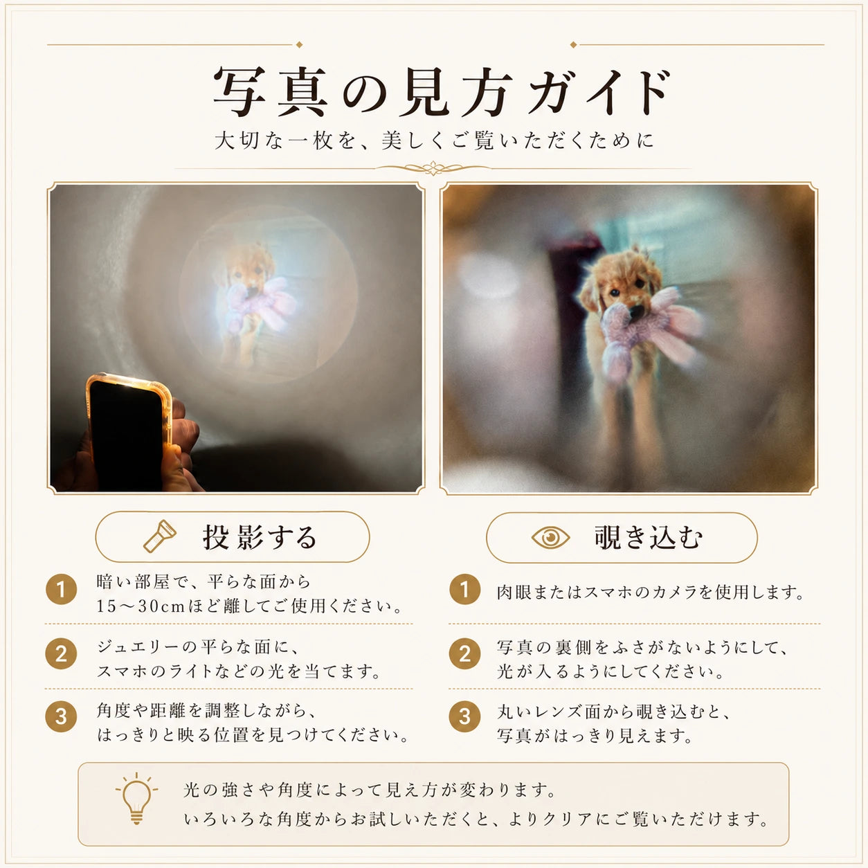 写真の見方ガイド