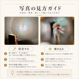 写真の見方ガイド