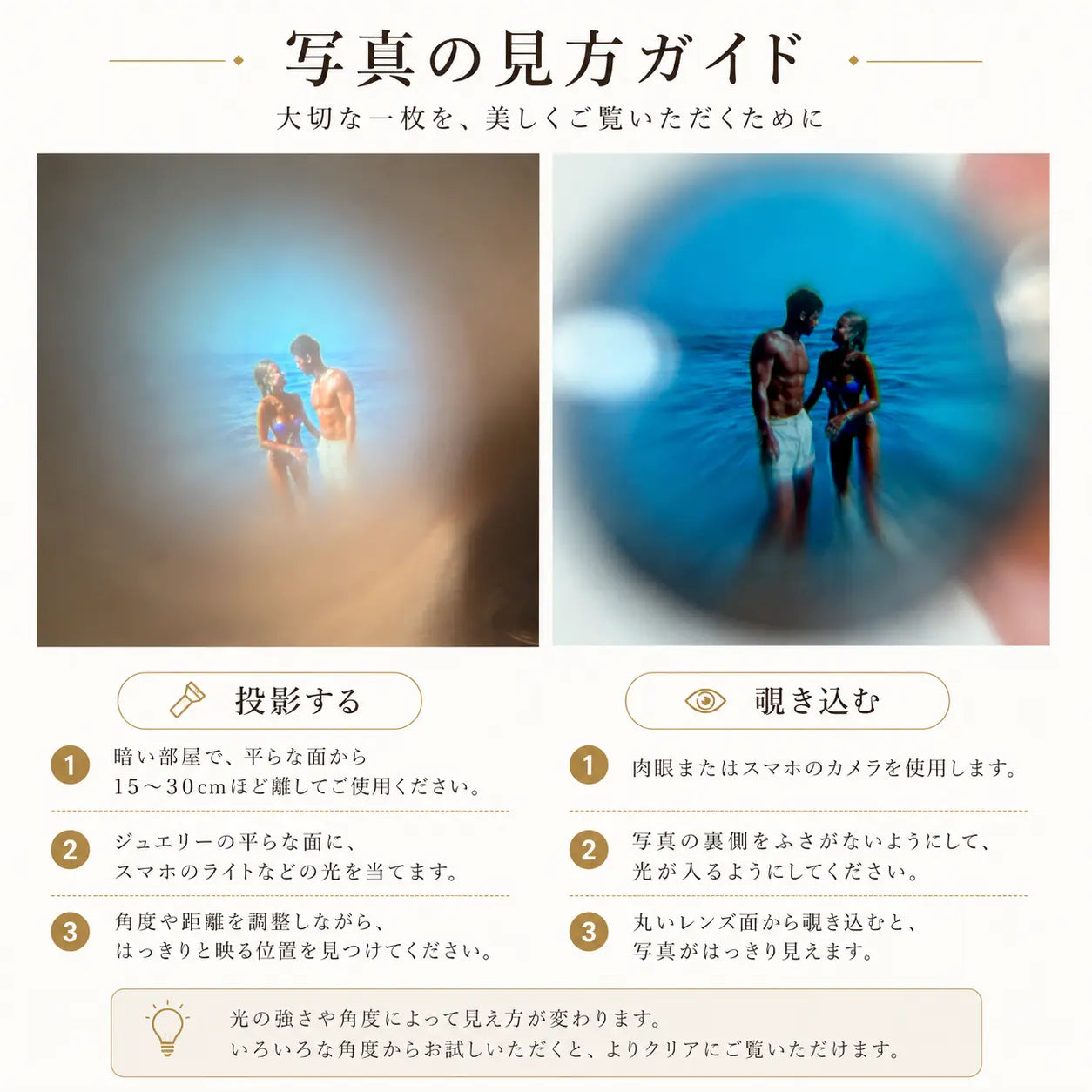 写真の見方ガイド