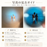 写真の見方ガイド